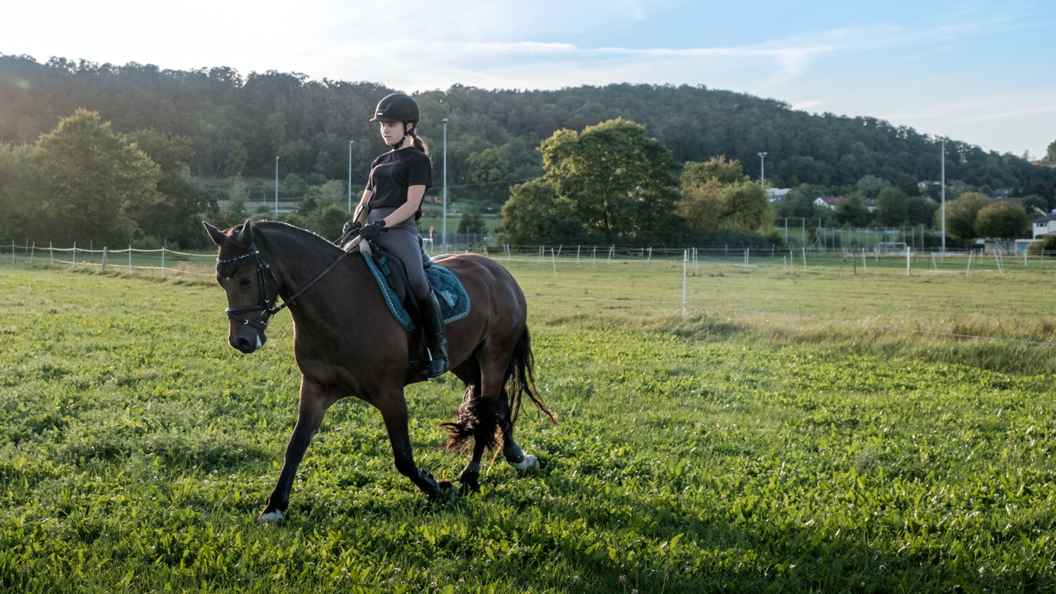 AdobeStock_278536780