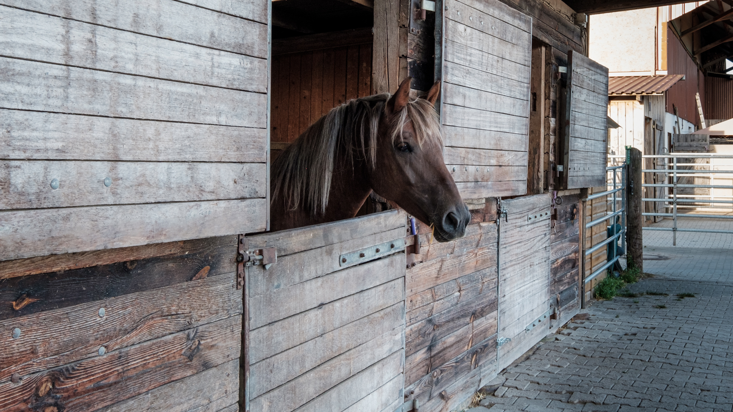 AdobeStock_278536780